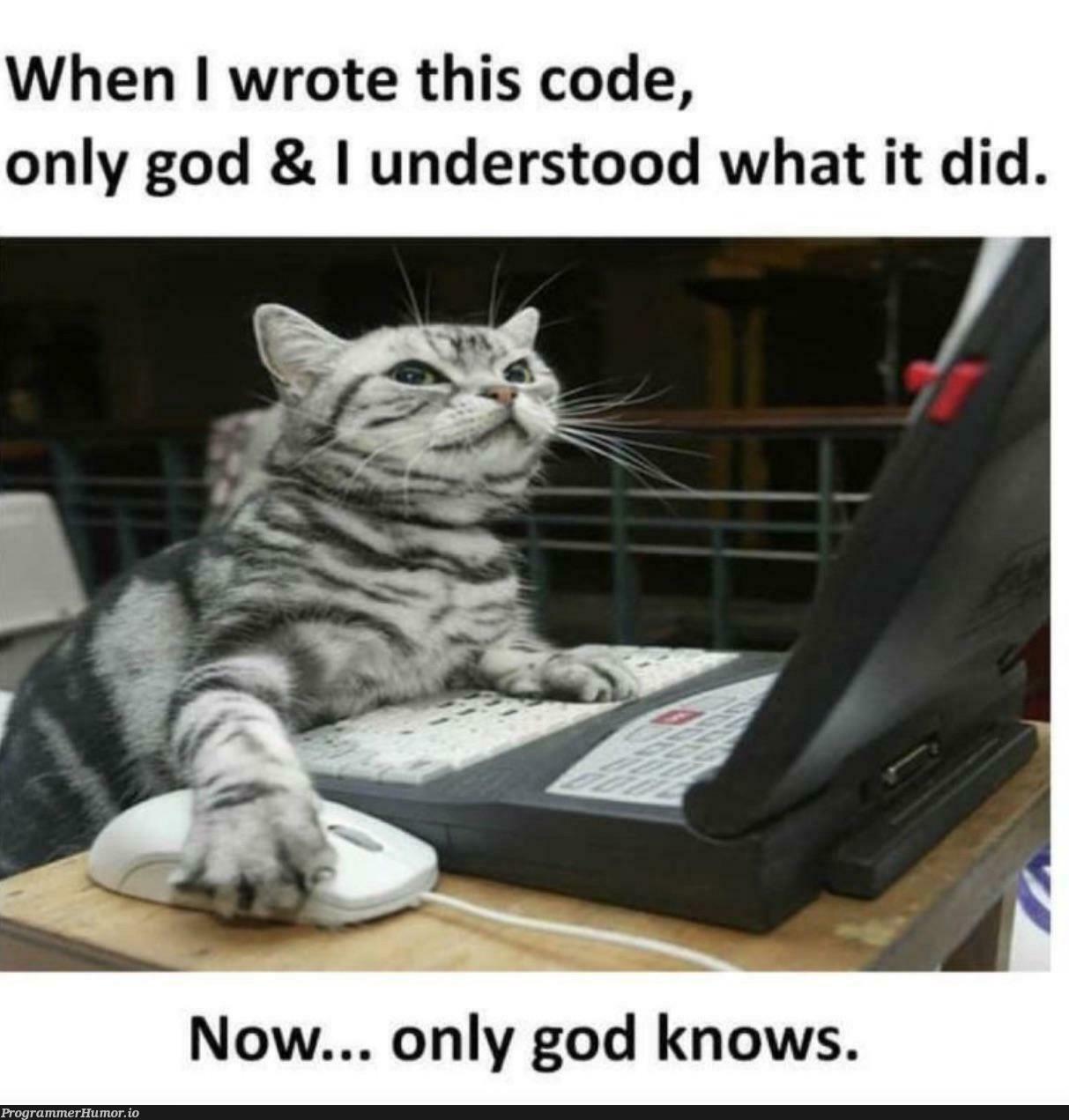 onlyGodKnows | code-memes, IT-memes | ProgrammerHumor.io