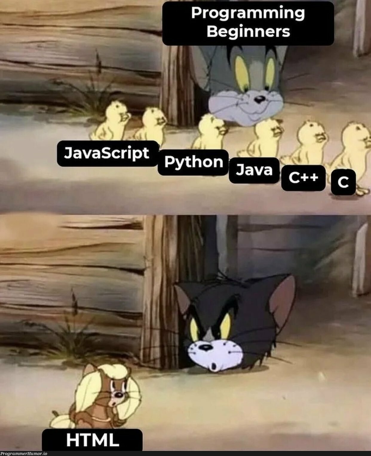 Is it ? (sorry if repost) | programming-memes, program-memes, IT-memes | ProgrammerHumor.io