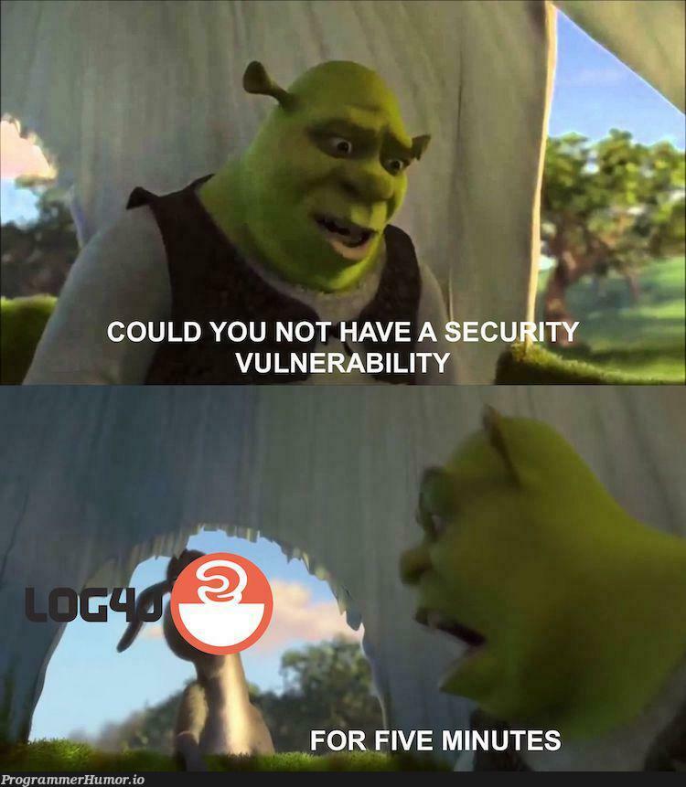 Another day, another Log4J vulnerability... | ProgrammerHumor.io