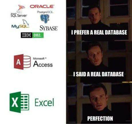 thePerfectDatabase | data-memes, database-memes, oracle-memes | ProgrammerHumor.io