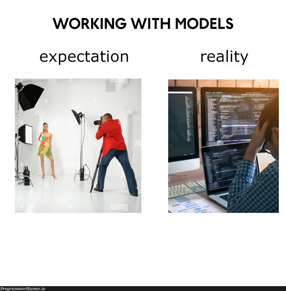 Working with models | ProgrammerHumor.io