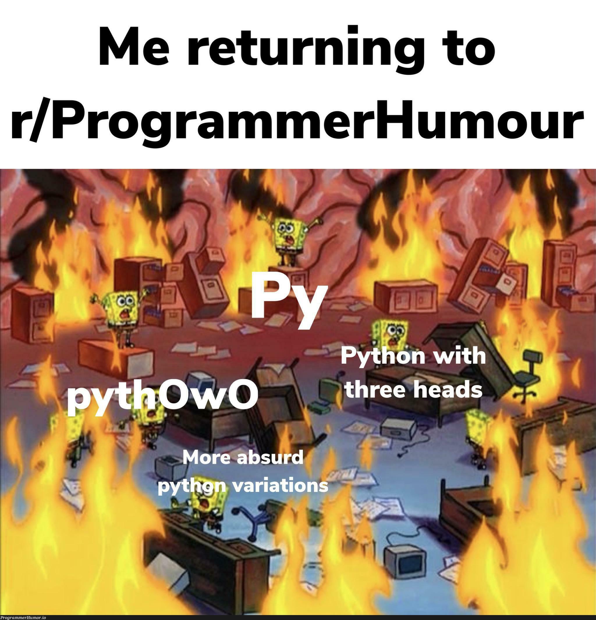 Me returning and seeing this subreddit | programmer-memes, program-memes, reddit-memes, subreddit-memes | ProgrammerHumor.io