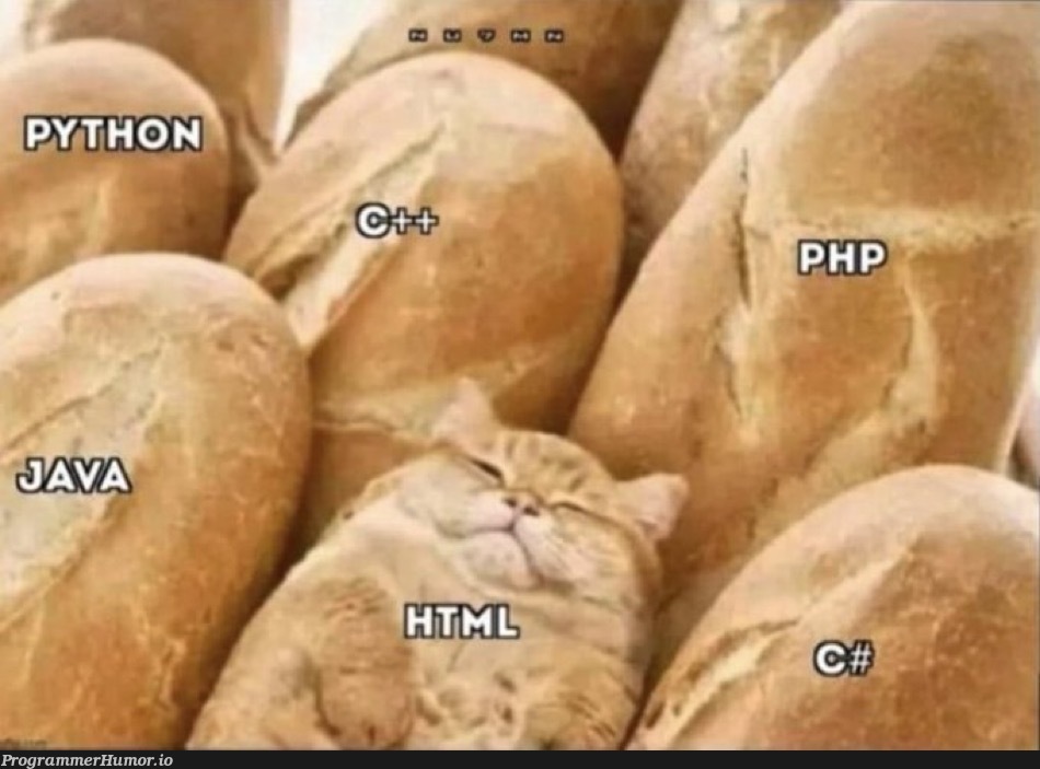 sneaky | ProgrammerHumor.io