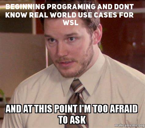 What are real world usecases for WSL? | program-memes | ProgrammerHumor.io