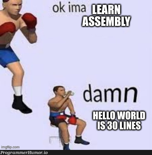 Learning ASM be like | assembly-memes | ProgrammerHumor.io