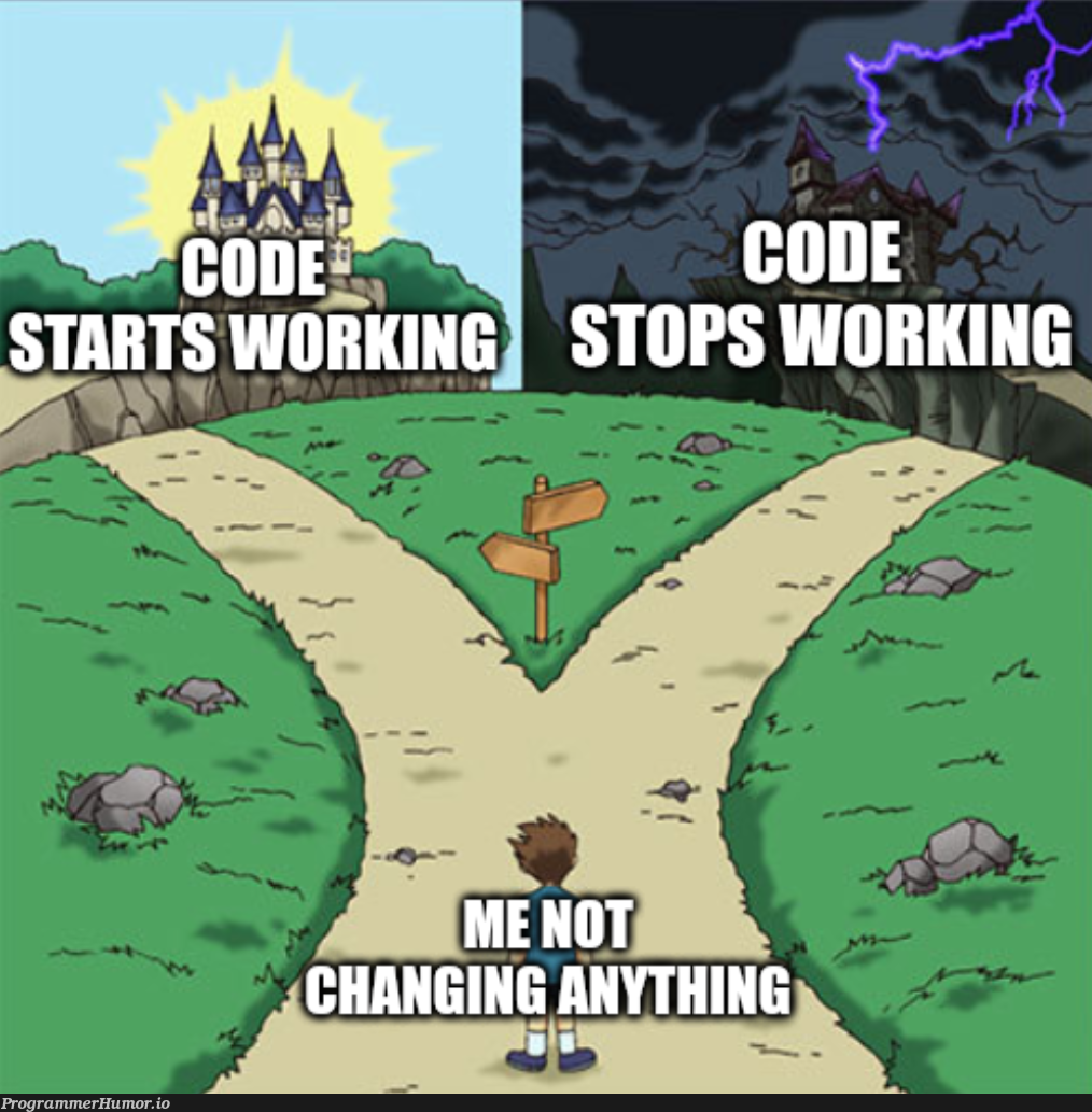 IAmGoingInsane | ProgrammerHumor.io