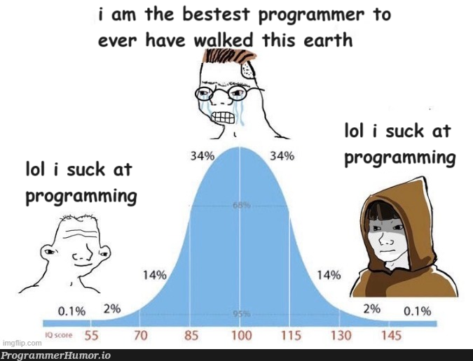 programmerGoBrr | programming-memes, programmer-memes, program-memes, test-memes | ProgrammerHumor.io