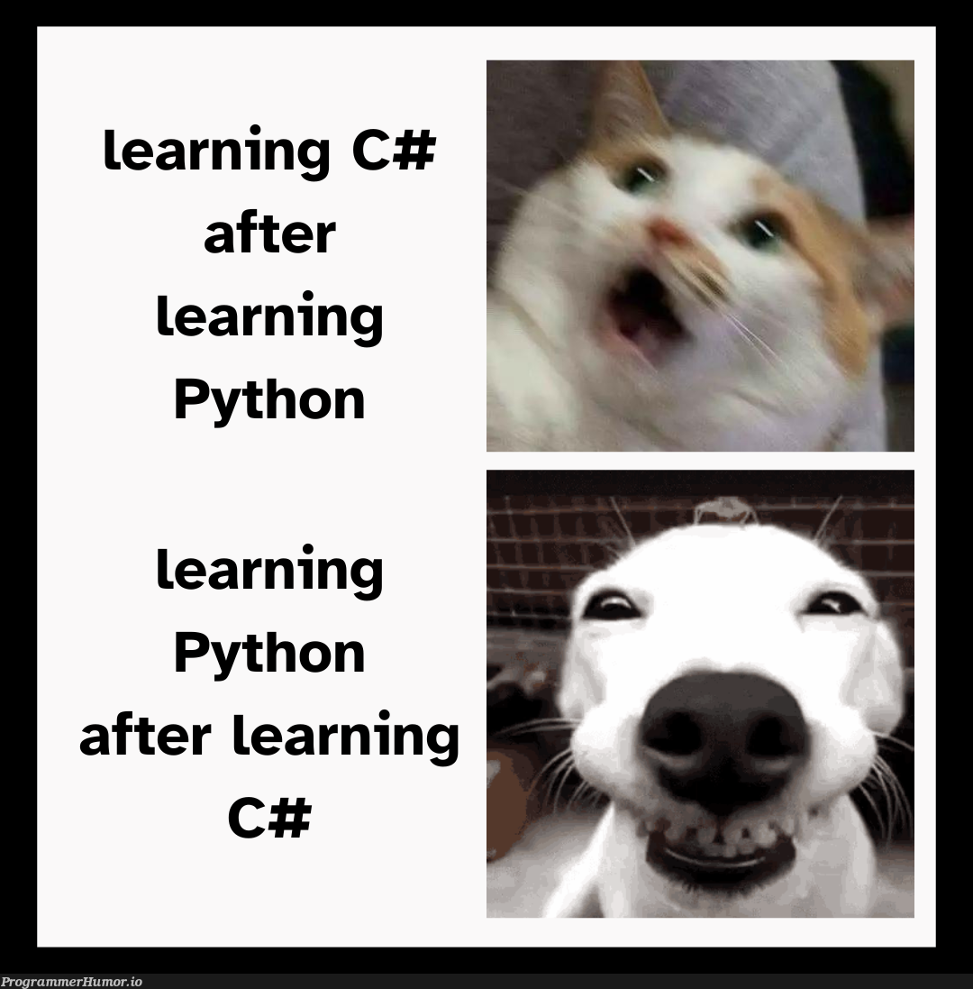 printHelloWorld | python-memes, c#-memes | ProgrammerHumor.io