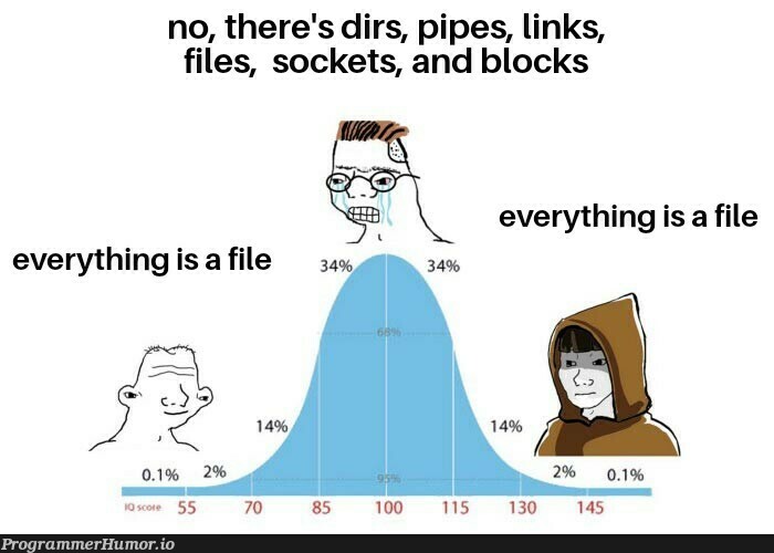 Everything is a file | loc-memes, lock-memes, sockets-memes, pip-memes, socket-memes | ProgrammerHumor.io