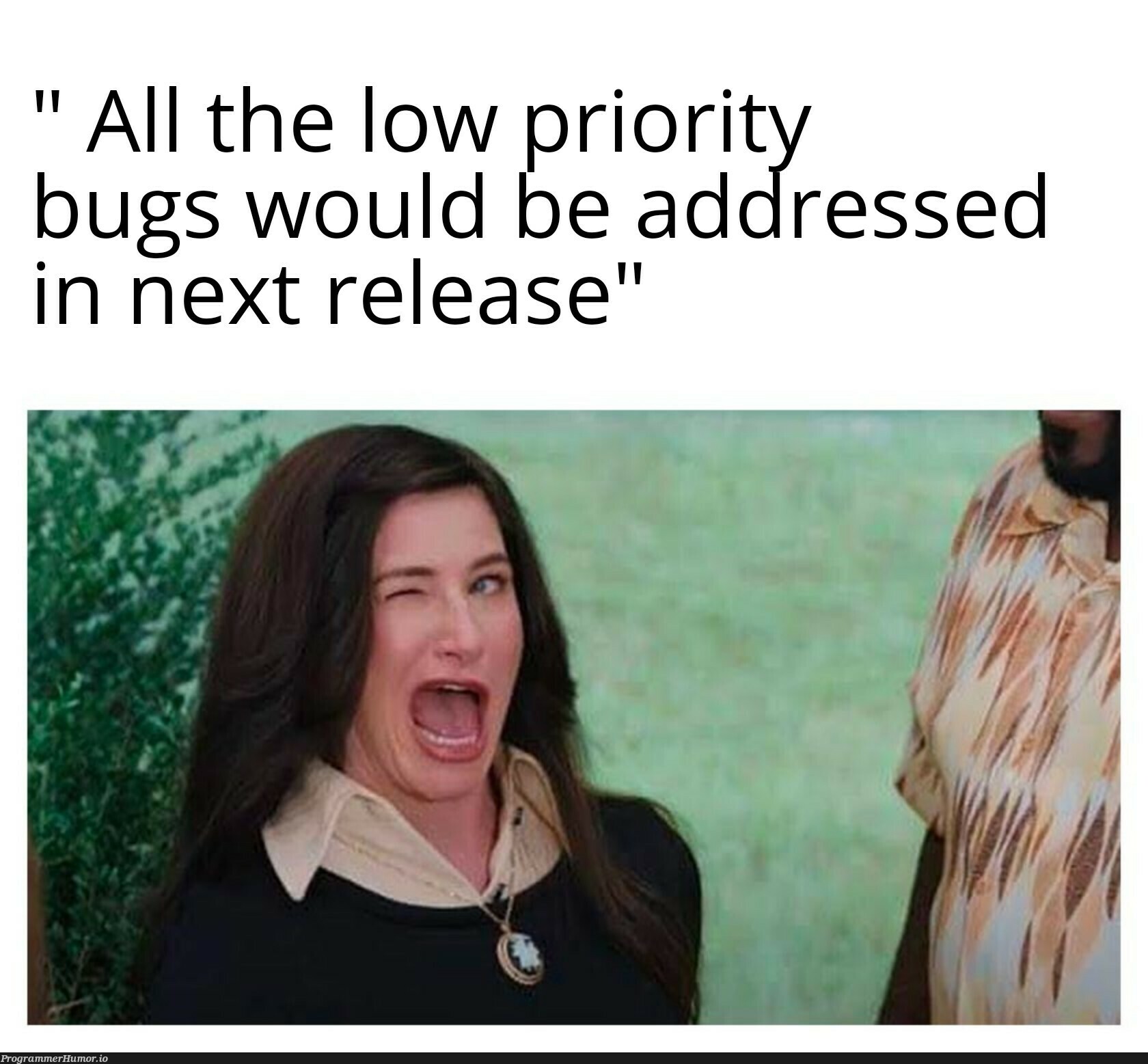 Thank you for understanding.. | bugs-memes, bug-memes, release-memes | ProgrammerHumor.io