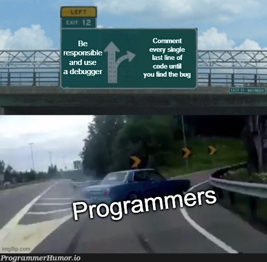 whyUseADebugger | bug-memes, debug-memes, debugger-memes | ProgrammerHumor.io