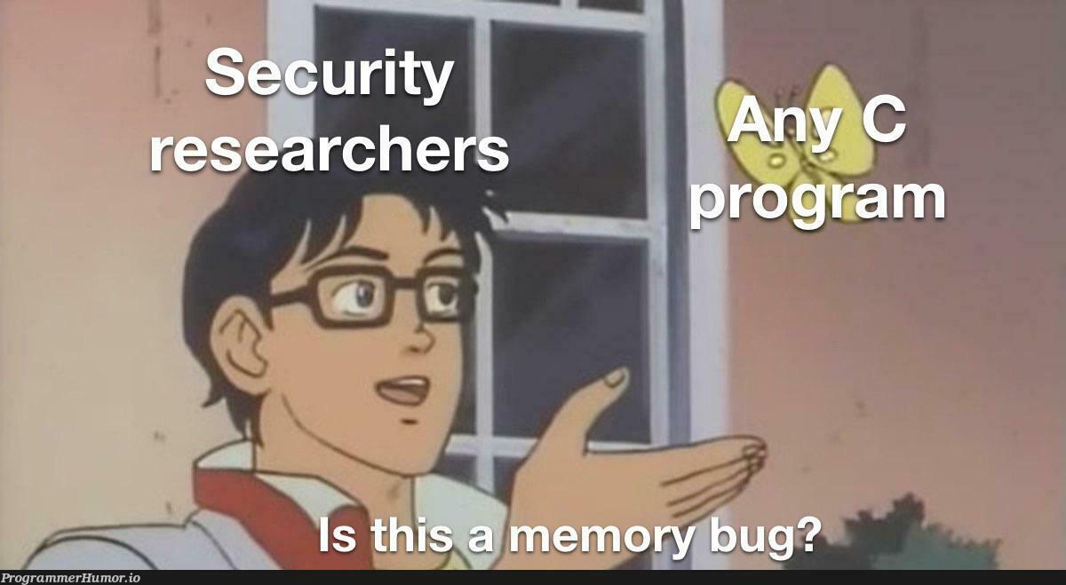 isThisAMemoryBug | bug-memes | ProgrammerHumor.io