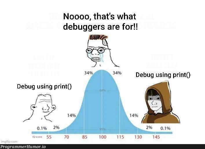 debuggerGoesBrrrr | bug-memes, debug-memes, debugger-memes | ProgrammerHumor.io