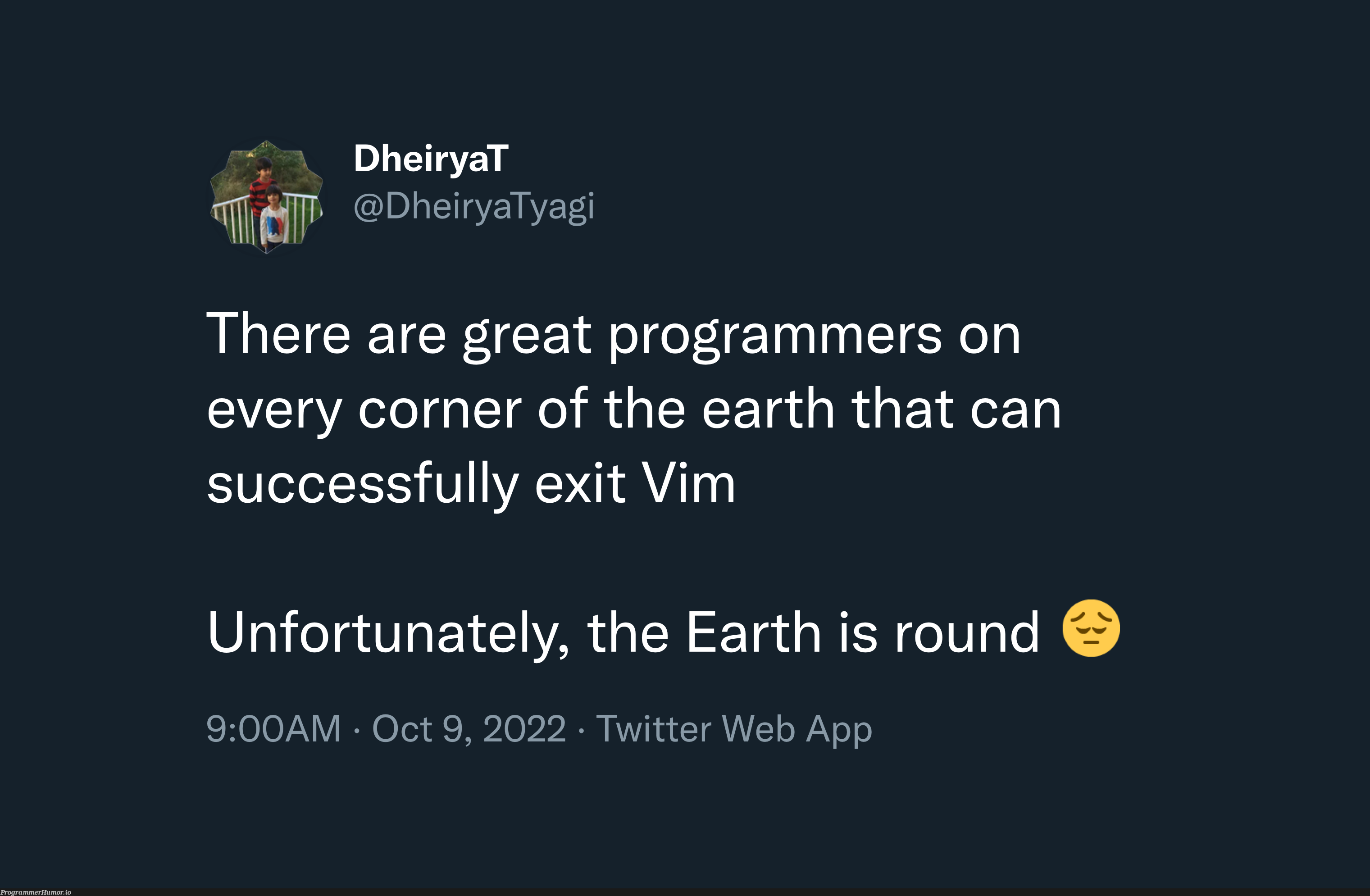 This is why the earth isn’t flat | programmer-memes, web-memes, vim-memes, program-memes, twitter-memes | ProgrammerHumor.io