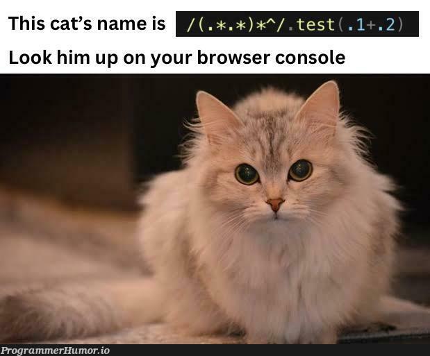 cuteJavaScriptCat | javascript-memes, java-memes, console-memes | ProgrammerHumor.io