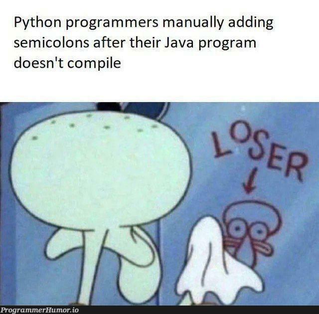 sometimesItHappens | programmer-memes, java-memes, python-memes, program-memes, semicolon-memes | ProgrammerHumor.io