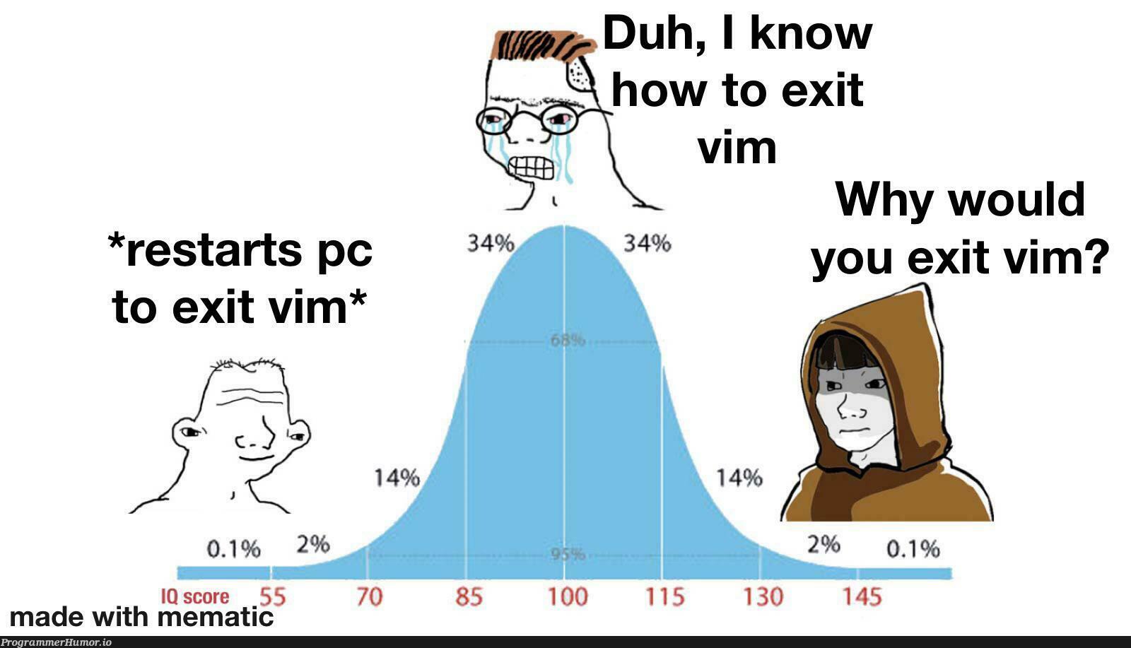 Accurate | vim-memes, rest-memes | ProgrammerHumor.io