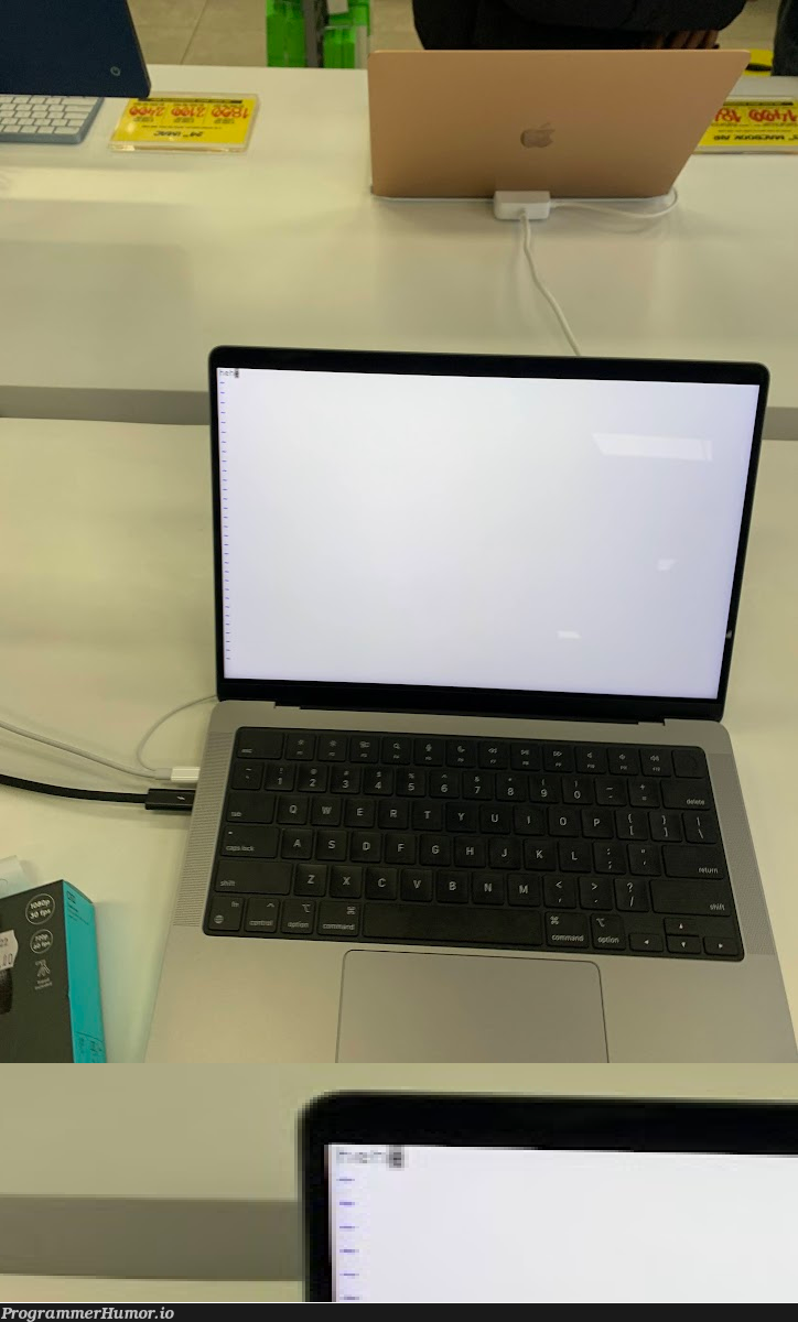 Today I bricked a brand new $3000 MacBook Pro by leaving Vim open and walking away | vim-memes, mac-memes, macbook-memes, macbook pro-memes | ProgrammerHumor.io