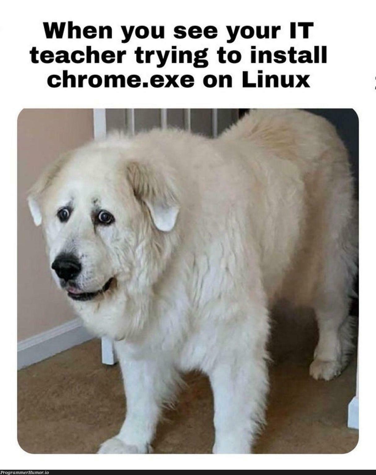 butThisIsFakeBecauseLinuxUsersDontUseChrome | linux-memes, ux-memes, try-memes, IT-memes | ProgrammerHumor.io