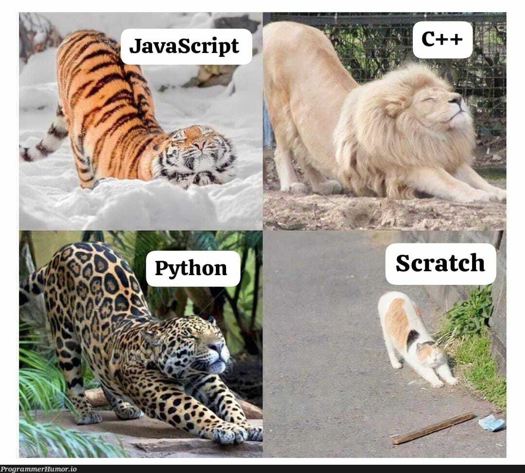 At the end of the day, all felines and programming languages act in similar manner | programming-memes, program-memes, language-memes, programming language-memes | ProgrammerHumor.io