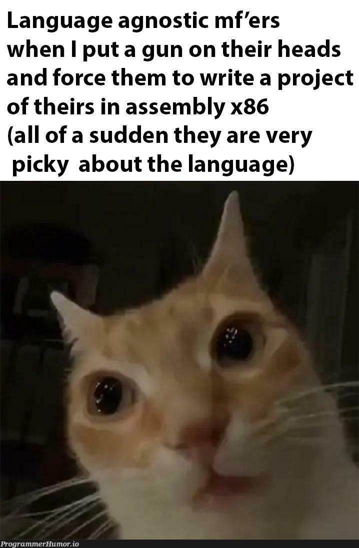 hahaTheyWereBeggingAndStuffItWasFunnyXd | assembly-memes, language-memes | ProgrammerHumor.io