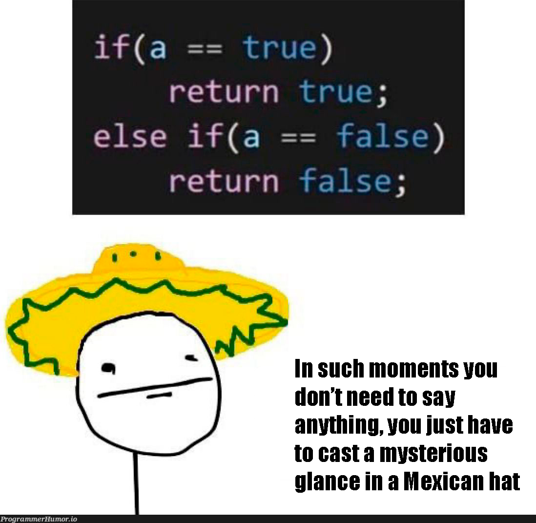 theStoryOfMexicanHat | ProgrammerHumor.io