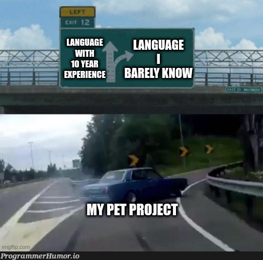 itsNoFunWithoutSomeNewHeadaches | language-memes | ProgrammerHumor.io