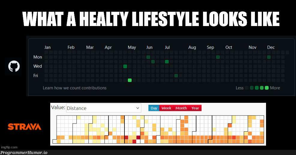 healtyLifestyle | ProgrammerHumor.io