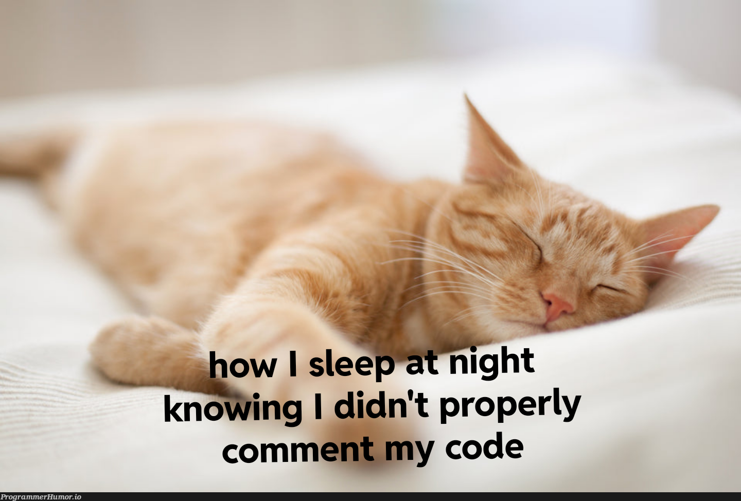 sleepingTight | code-memes, perl-memes | ProgrammerHumor.io