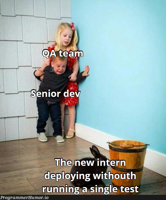 whyWeHaveQualityAssuranceTeamFor | ProgrammerHumor.io