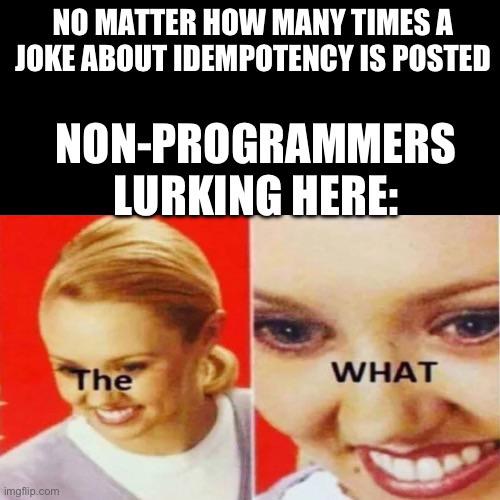 alwaysTheSameResponse | ProgrammerHumor.io