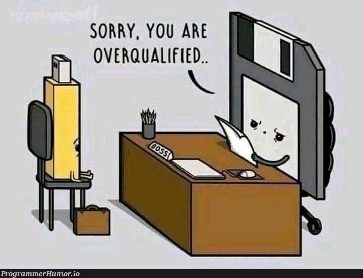 sorryYouAreOverqualified | ProgrammerHumor.io