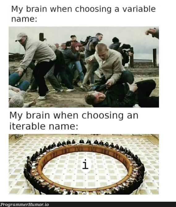 theHumourous | variable name-memes | ProgrammerHumor.io