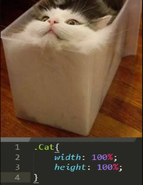 Never set a container height.... | container-memes | ProgrammerHumor.io