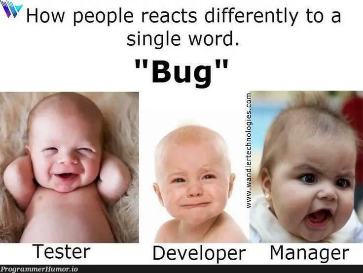 reactionToBug | developer-memes, tech-memes, bug-memes, react-memes, manager-memes | ProgrammerHumor.io