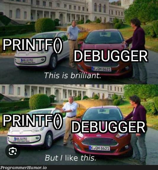 printDebugging | debugging-memes, bug-memes, debug-memes | ProgrammerHumor.io