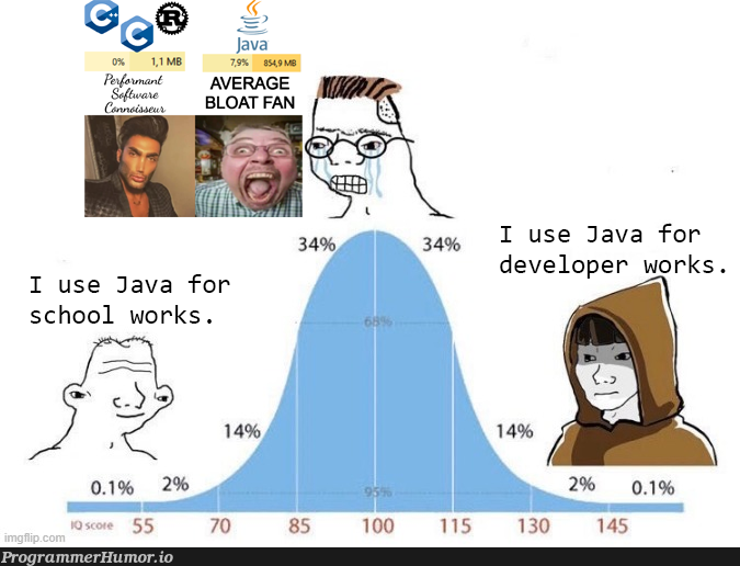 In my opinion, Java haters are the most common type of npc found in the sub. | developer-memes, java-memes | ProgrammerHumor.io