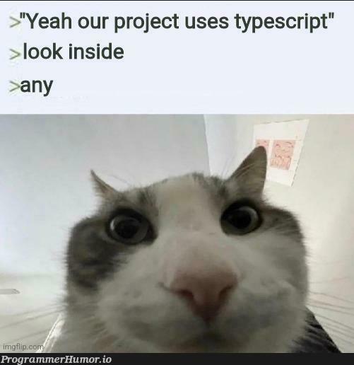 whatsThePoint | typescript-memes, ide-memes | ProgrammerHumor.io