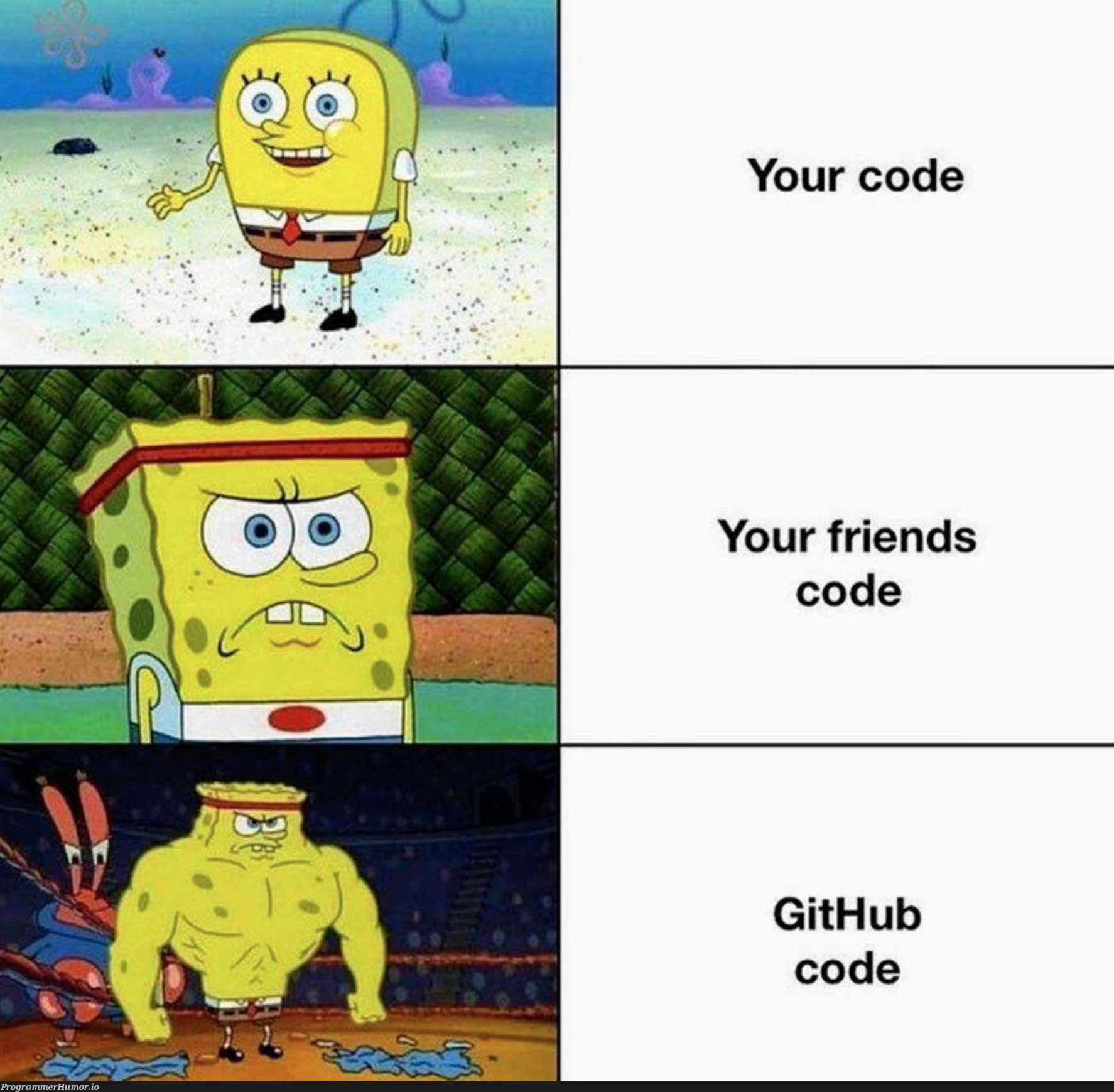 differentPeoplesCodes | code-memes, git-memes, github-memes | ProgrammerHumor.io