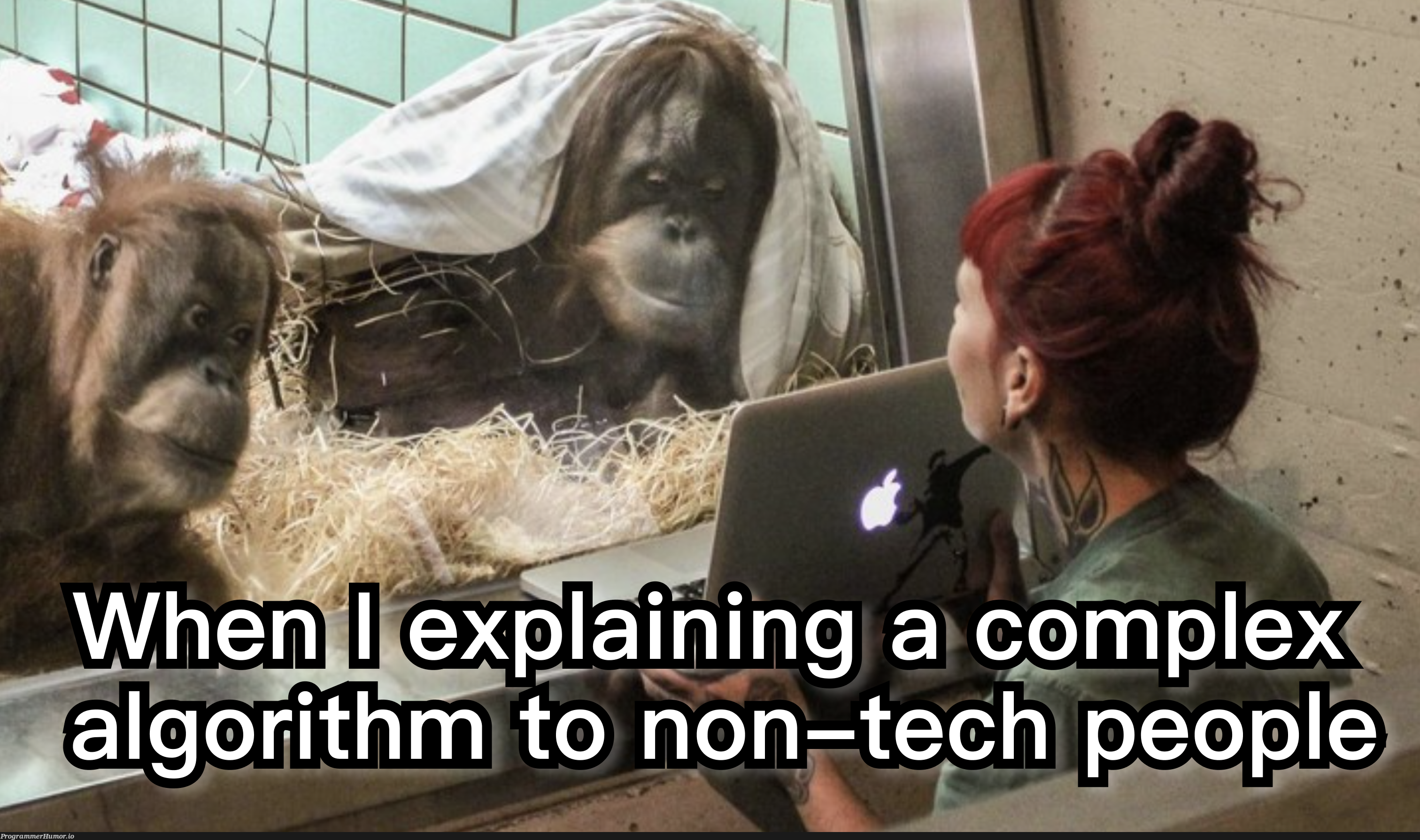 explainingComplexAlgorithmToNonCoders | code-memes, coder-memes, algorithm-memes | ProgrammerHumor.io