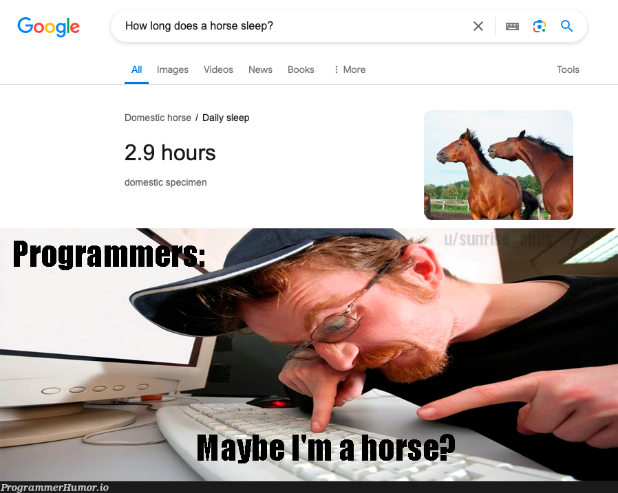 workhorse | image-memes, ide-memes | ProgrammerHumor.io