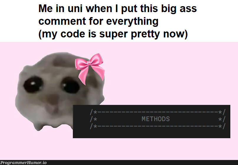 feelSafeInAWay | code-memes, comment-memes | ProgrammerHumor.io