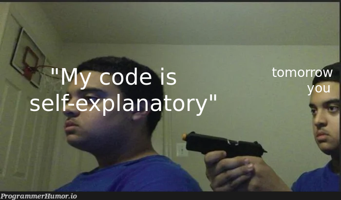 Why would I need comments anyway ? | comment-memes | ProgrammerHumor.io