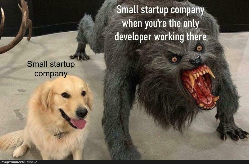 butIThoughtSmallMeantEasy | startup-memes | ProgrammerHumor.io