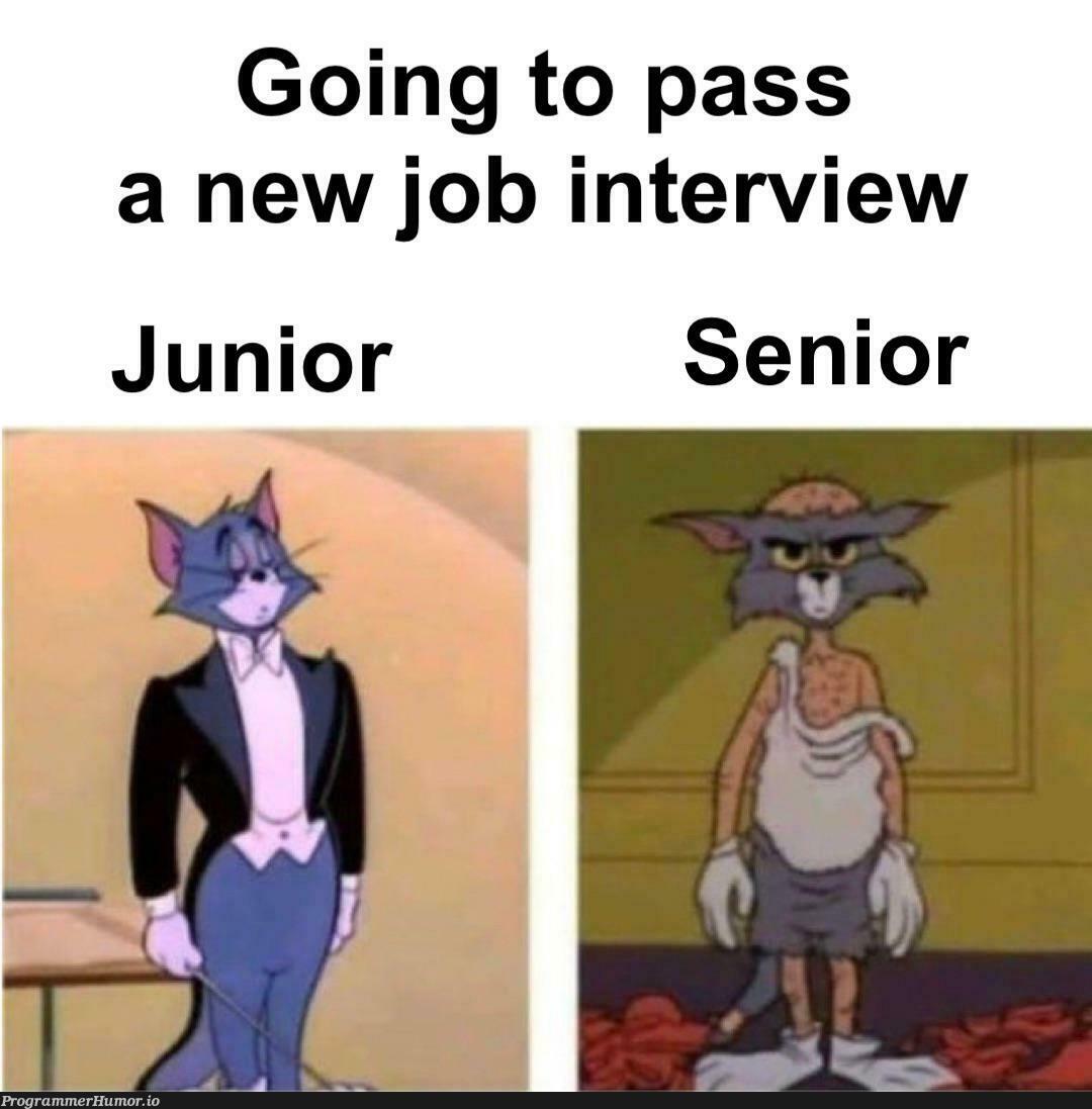 Very Accurate | interview-memes | ProgrammerHumor.io