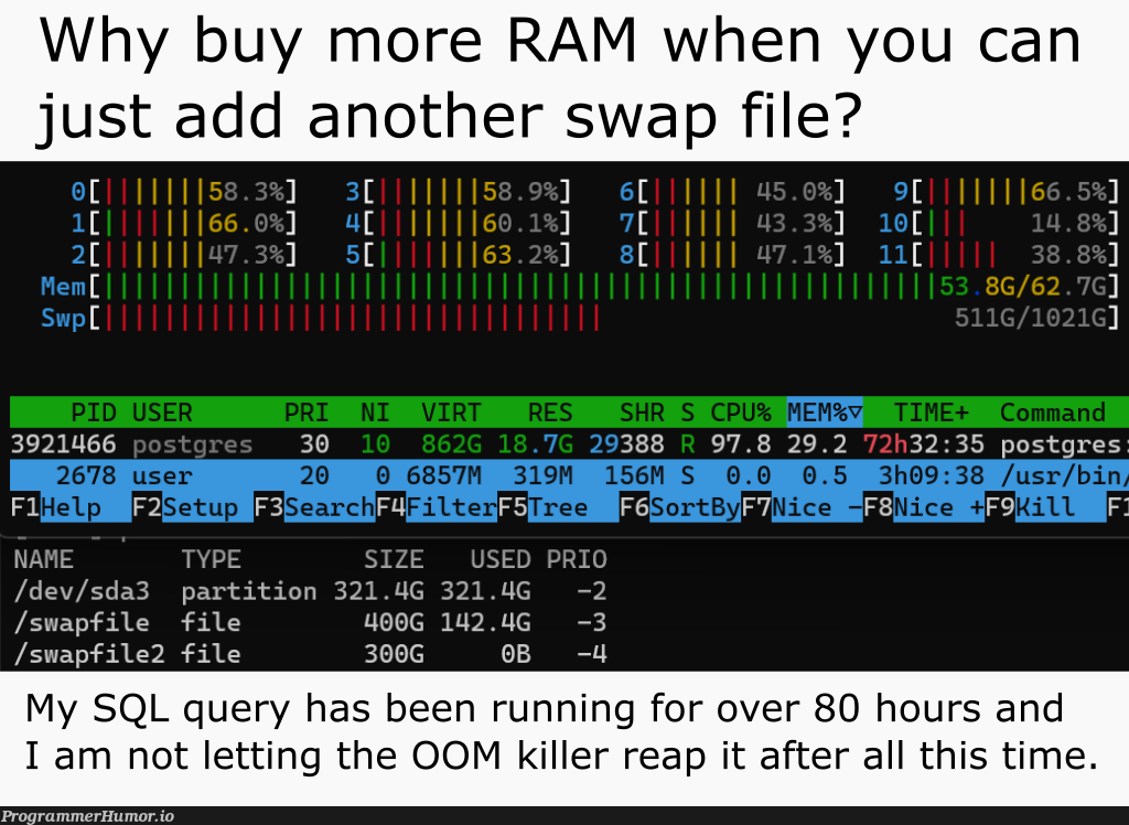 whyBuyMoreRAMWhenYouCanAddAnotherSwapFile | sql-memes, my sql-memes, postgres-memes, IT-memes, query-memes | ProgrammerHumor.io