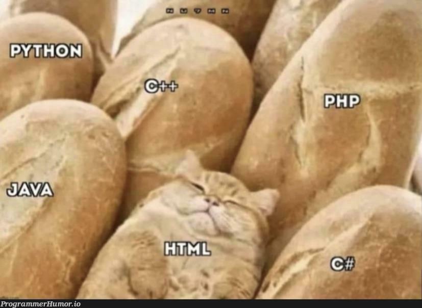 Wait, you mean <html></html> is not Turing complete? | html-memes, ML-memes | ProgrammerHumor.io