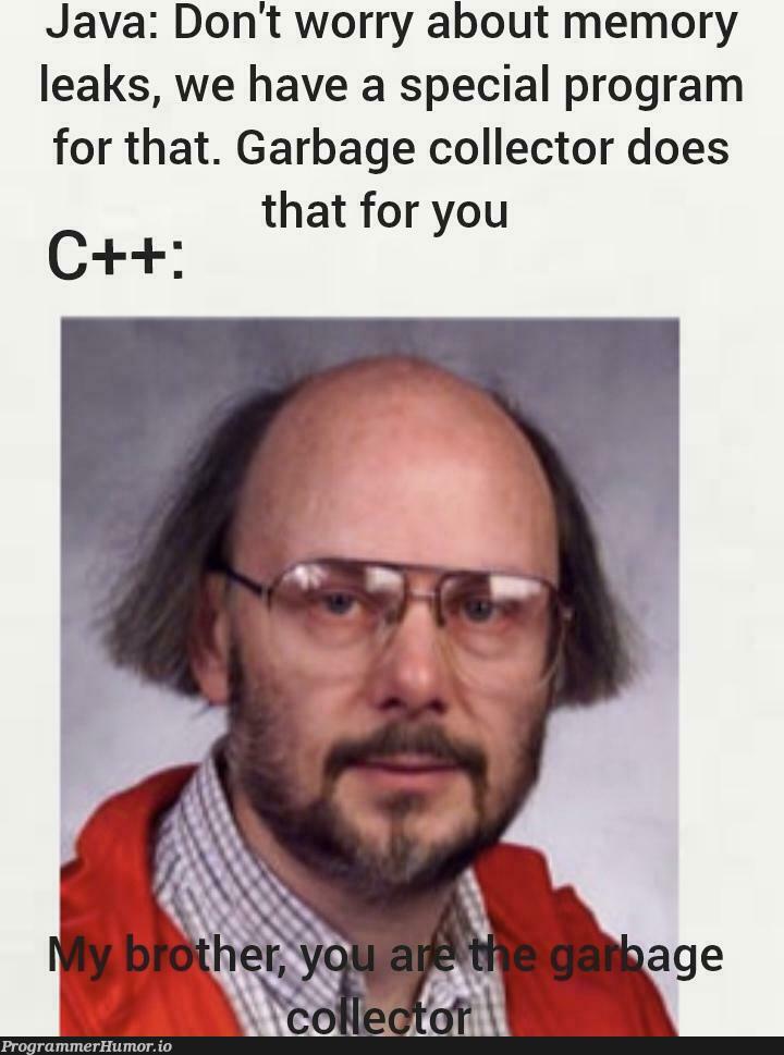 whoNeedsGarbageCollectorAnyway | java-memes, program-memes, c++-memes | ProgrammerHumor.io