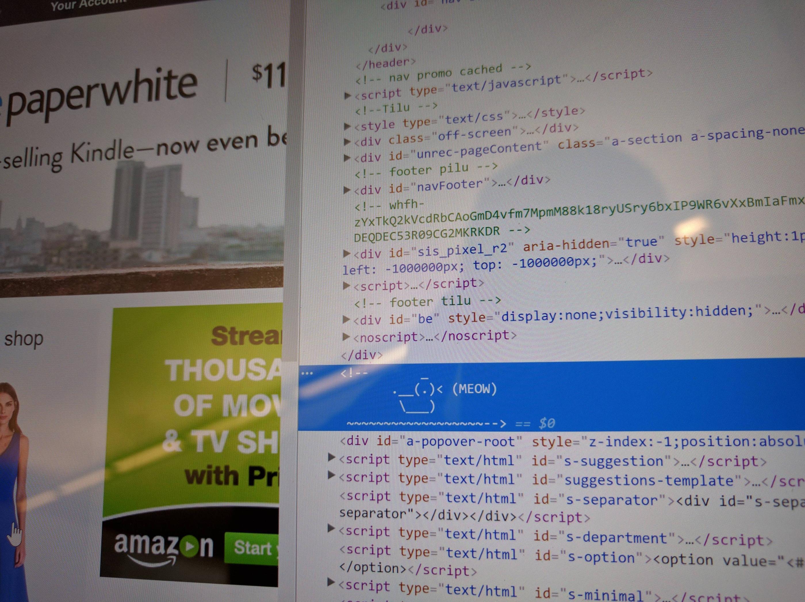 There's a meowing duck in Amazon's html code. (x-post from /r/hacking) | html-memes, css-memes, javascript-memes, code-memes, java-memes, hacking-memes, amazon-memes, class-memes, ML-memes, div-memes, header-memes, cs-memes | ProgrammerHumor.io