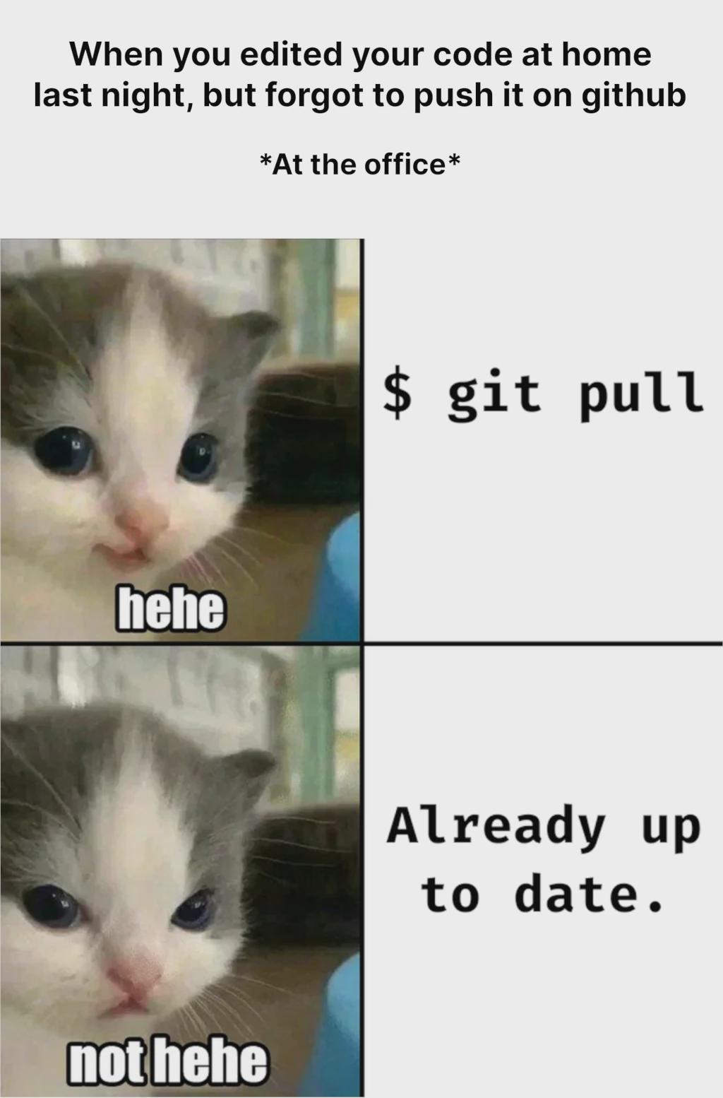 thisIsNotHehe | code-memes, git-memes, github-memes, date-memes, IT-memes | ProgrammerHumor.io